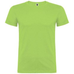 Obrázky: Světle zelené pánské triko Beagle 155, M
