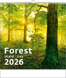 Obrázky: FOREST, nástěnný kalendář 300x300 mm